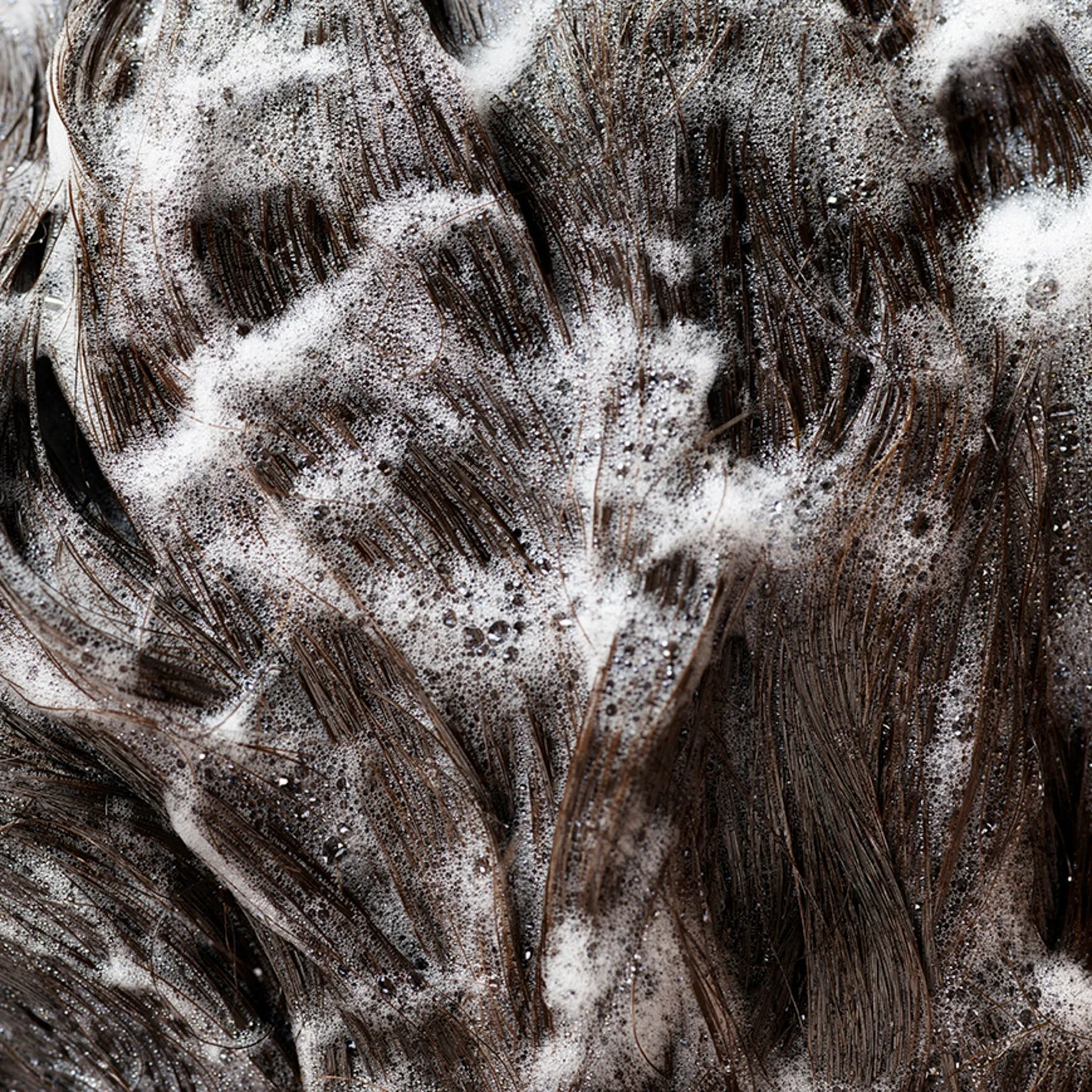 Signature Shampoo - Image 9